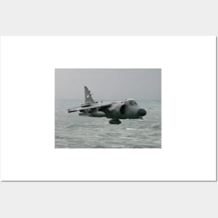 Sea Skimming Sea Harrier Posters and Art